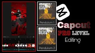 Capcut pro level editing video || Capcut animation video
