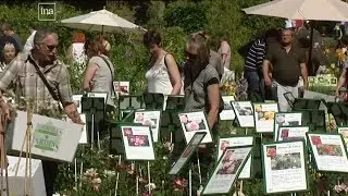 Journée des jardins d'agrément à Doullens le 27/05/2012