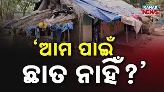 ଆମ ପାଇଁ ଛାତ ନାହିଁ? Ground Reality Exposed | Homeless Tribal Families In Jajpur Seek Govt Help