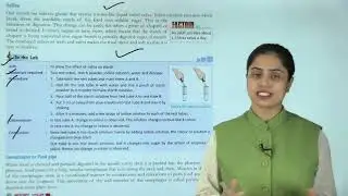 Ch 02 | Learn Well Books | Science | Class 07 | Nutrition in Animals  | For children