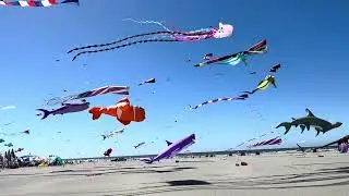 Kite Festival Long Beach, Washington   Aug 20, 2025