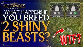 What Happens If You Breed 2 Shiny Beasts in Hogwarts Legacy?