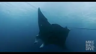 Coral Sea & Cod Hole Expedition | 5 Night Liveaboard Diving with Mike Ball Dive Expeditions