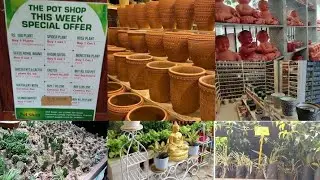 THE POT SHOP ECR/Different types of pots/ All indoor plants.../Weekdays offers..../ HOME GROWN VLOGS