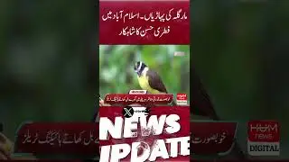 Margalla Hills is a masterpiece of natural beauty in Islamabad