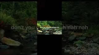 Feel this song : Let me love you 🎵🎶🎵#lyrics#Let me love you # pov