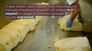 Forager Project - With so many brands entering the