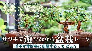 サツキで遊びながら盆栽トーク　「若手が愛好会に所属するって どぉ？」