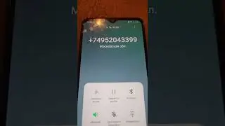 Мошенник Федя