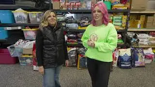 Episode #1 Saving Souls Pet Alliance and The Bissell Pet Foundation