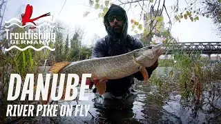 Flyfishing for Pike in the River Danube, Germany