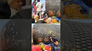 दुनिया का सबसे बड़ा शिवलिंग देख भावुक हुए शिव भक्त