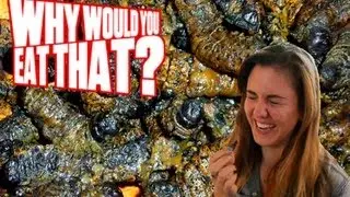 Mopane Worms aka Crunchy Caterpillars - Why Would You Eat That?