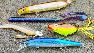 Top 5 Baits For August Bass Fishing!