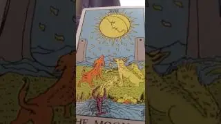 Exploring Tarot card 