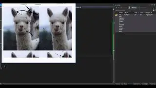 Paint Software Tutorial 3 (C#)