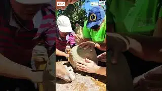 Découvrez le projet MIL de nos étudiants BTSA GPN/GEMEAU à MADAGASCAR : AGROFORESTERIE et IRRIGATION