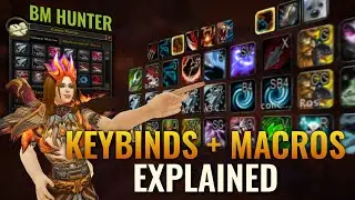 Охотник на зверей в WoW Arena || Важные сочетания клавиш и макросы