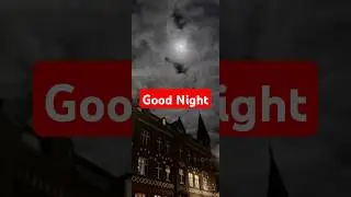 Good Night, Sleep Tight... 😴🌛