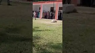 Dogri Queen  is live