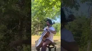 Dreams and nature   #cello #sun #forest #newmusic