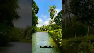 कोकण 🤩 kokan #kokan #shortvideo #viralvideo