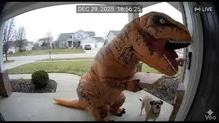 DoorDash been real quiet since this dropped 🦖🍕