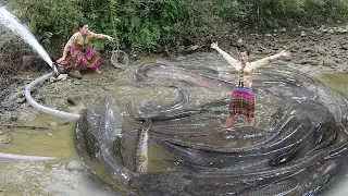 Wild Fishing Use Large Capacity Pump Sucks Water At The Lake, Exciting Catch Many Fish