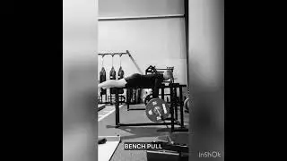 Bench Pull