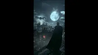 Shane Ceo - Gotham Arkham Asylum