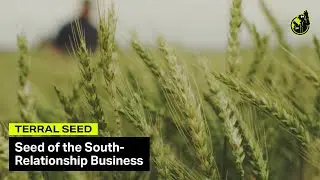 Grain Seed Supplier Commercial - &ldquo;Seed of the South&ldquo; | Terral Seed
