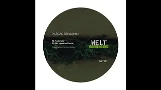 Pascal Benjamin - No Limits