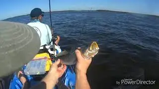 Kayak fishing in Matlacha 2019.