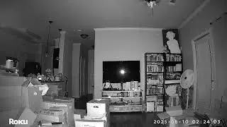 White Orbs 2