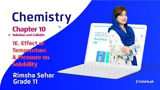 Chemistry Class 11 | Chapter 10 | Topic 1E | Effect of Temperature and Pressure on Solubility