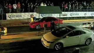 D Pinto VS Zitro