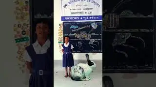 Animals and their homes /home of animals ..Kunda F P School