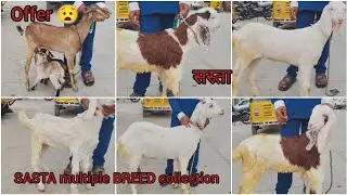 OFFER OFFER OFFER|| SUNDAY DHAMAKA OFFER||