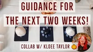 GUIDANCE FOR THE NEXT TWO WEEKS! URGENT! 😍💸💐🤩 PICK A CARD COLLAB WITH KLOEE TAYLOR 🎃🔮💖