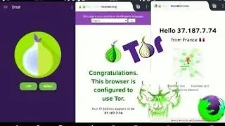 Tor browser in android.