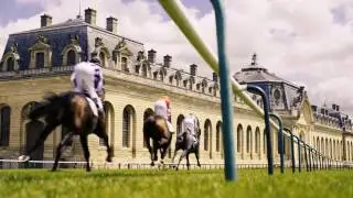 Equine Careers - Video Production