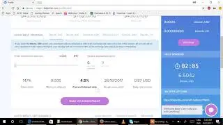 Bitpetite review for investment 4336$