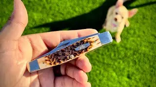 Case Large Stockman Unboxing