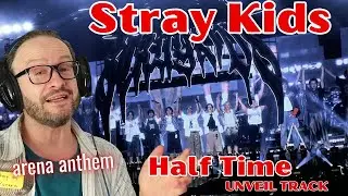 crowd song!!!! Stray Kids 