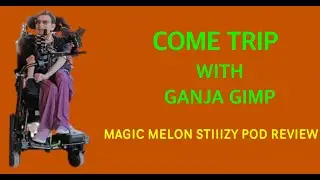 MAGIC MELON STIIIZY POD REVIEW