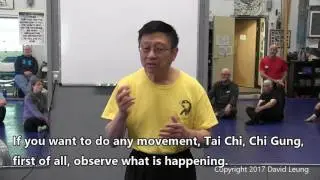 Master David Leung - The 4 stages of development in Tai Chi (and life)