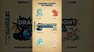 Dragon Caught On Camera #dragon #trollface #edit