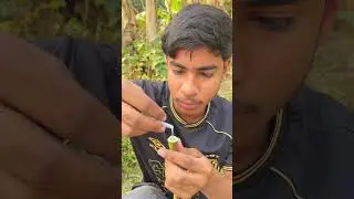 Making bubbles with shampoo in apapaya tube #camping #bushcraft#survival #outdoors#shorts