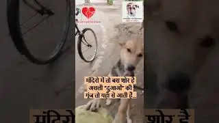 Compassion in Action - Every Heartbeat Counts! Heart for Voiceless & MADD Meals A Day for Dogs