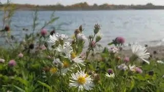 Reynolds Ponds, Reynolds, Manitoba